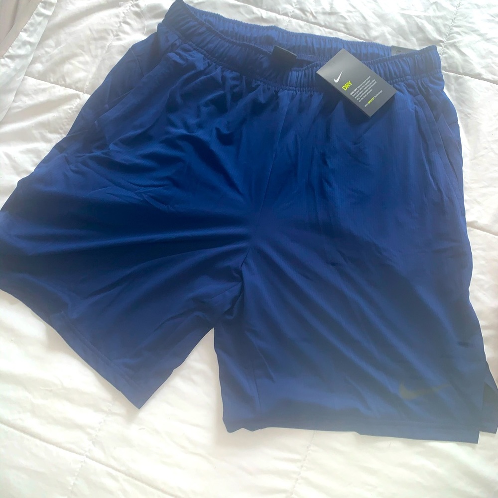 Brand new MEN'S Nike shorts size Large with tags still on.